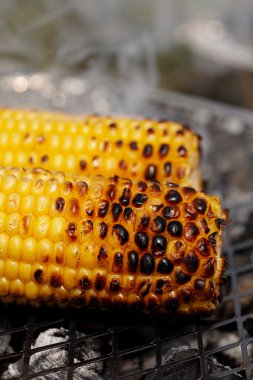 Barbekü Izgara kavrulmuş tatlı mısır