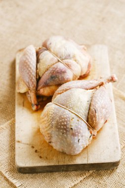 iki sülün kuşu, yiğitlik ve ahşap üzerine dolması