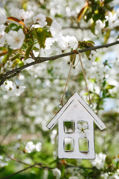 Pequena casa de madeira na primavera com flor flor de cereja sakura — Fotografia de Stock