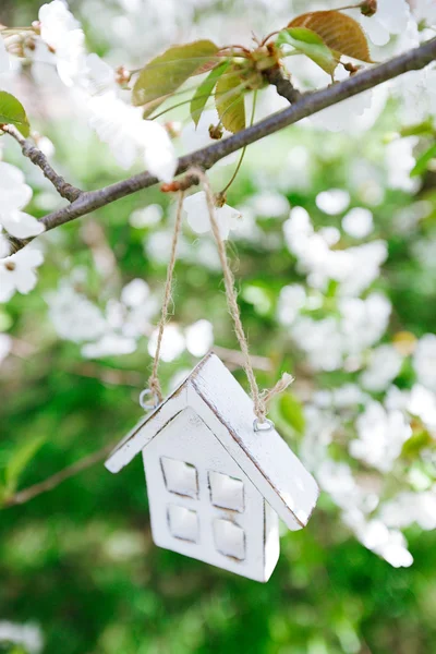 Pequena casa de madeira na primavera com flor flor de cereja sakura — Fotografia de Stock