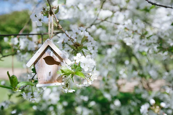 Trochę birdhouse wiosną z sakura kwiat wiśni kwiat — Zdjęcie stockowe