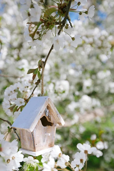 Trochę birdhouse wiosną z sakura kwiat wiśni kwiat — Zdjęcie stockowe