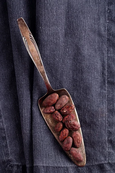 Roasted cocoa chocolate beans on silver spoon and linen backgrou — Stock Photo, Image