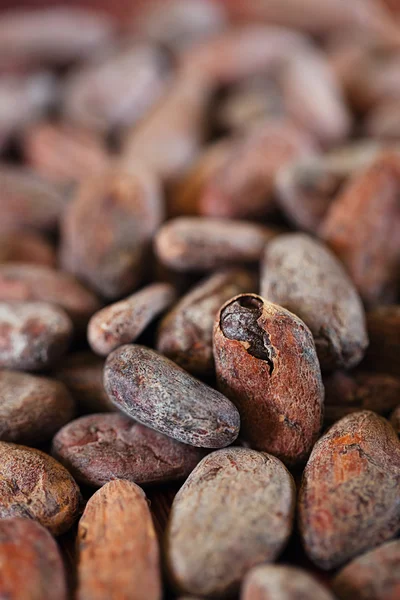 Frijoles de cacao tostados macro fondo — Foto de Stock