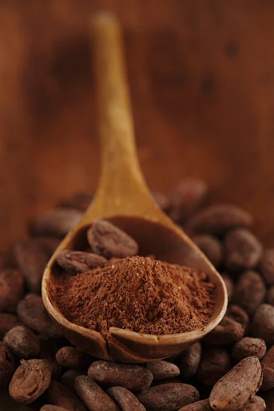 Cocoa powder in spoon on roasted cocoa chocolate beans backgrou — Stock Photo, Image
