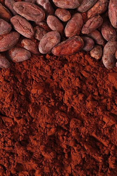Granos de cacao y fondo en polvo — Foto de Stock