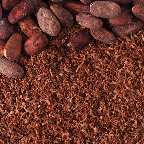 Cocoa beans and grated chocolate background — Stock Photo, Image