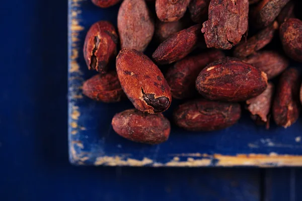 Roasted cocoa chocolate beans on dark blue wood background — Stock Photo, Image