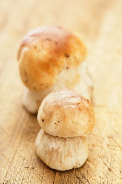Cogumelos de cep em placa de madeira de cozinha, para cozinhar — Fotografia de Stock