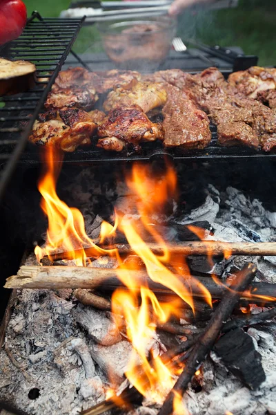 Carne de la comida - pollo y carne de res en la parrilla de verano fiesta barbacoa —  Fotos de Stock