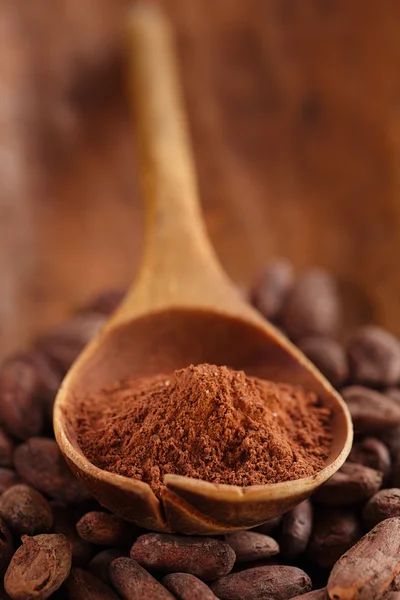 Cocoa powder in spoon on roasted cocoa chocolate beans backgrou — Stock Photo, Image