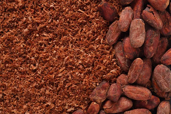 Fèves de cacao et fond chocolat râpé — Photo