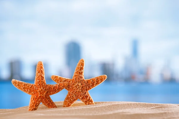 Estrela-do-mar com oceano, praia e paisagem marinha — Fotografia de Stock