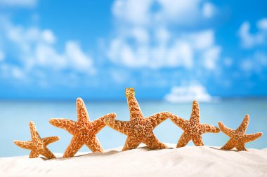 starfish with ocean , beach and seascape clipart