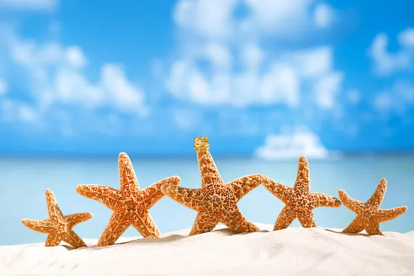 Stelle marine con oceano, spiaggia e mare — Foto Stock