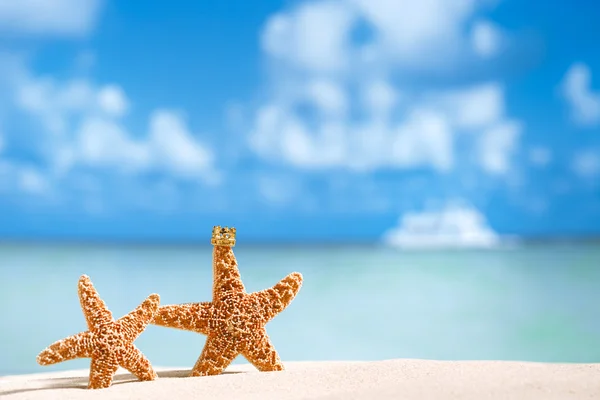 Estrella de mar y coco con océano, playa y paisaje marino — Foto de Stock