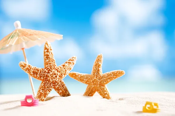 Starfish met zee, strand en zeegezicht — Stockfoto