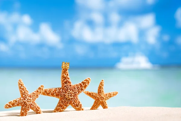 Starfish met zee, strand en zeegezicht — Stockfoto