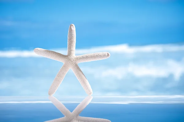 Морская звезда и отражение с океаном, волной и морским пейзажем — стоковое фото