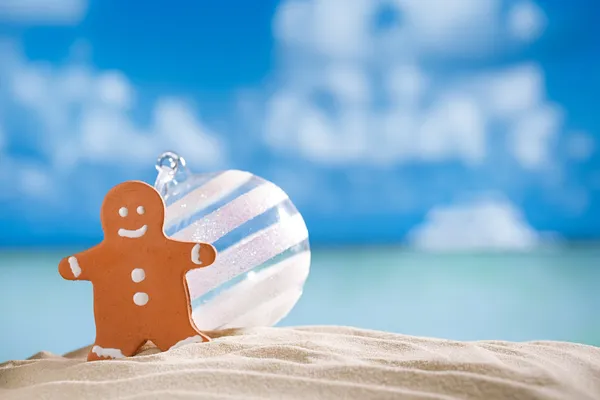 Gingerbread man and glass balll — Stock Photo, Image