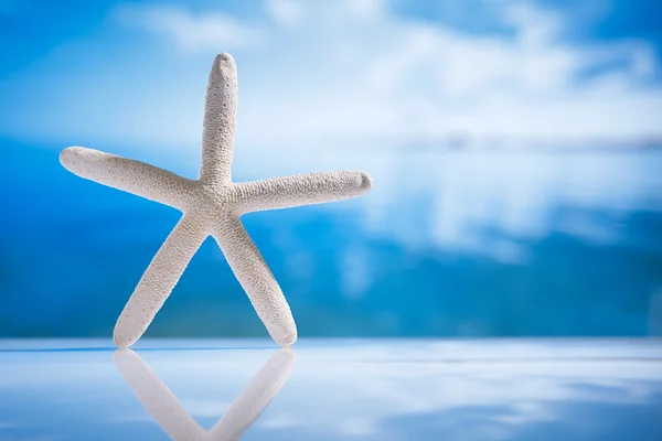 Estrela-do-mar e reflexão com oceano, ondas e paisagens marinhas — Fotografia de Stock