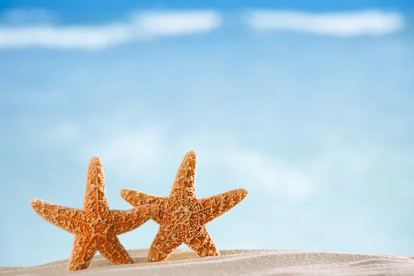 Sjöstjärna med havet, stranden och marinmålning — Stockfoto