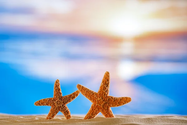 Estrela do mar com o nascer do sol oceano, praia e paisagem marinha — Fotografia de Stock