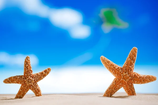 Étoile de mer avec océan, plage et paysage marin — Photo