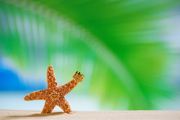 Морская звезда с короной, океаном, пляжем и морским пейзажем — стоковое фото
