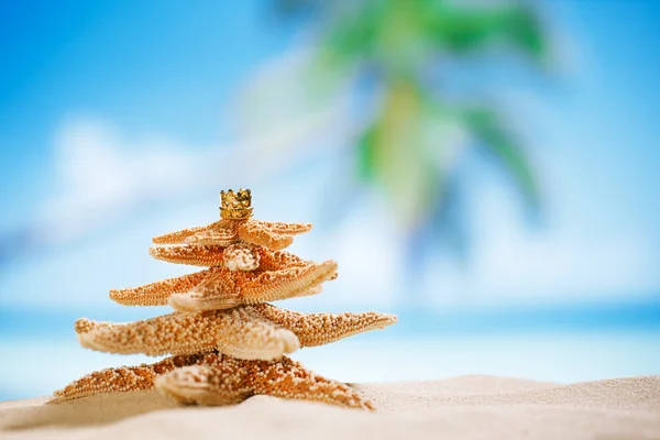 Starfish christmas tree on beach with seascape background — Stock Photo, Image