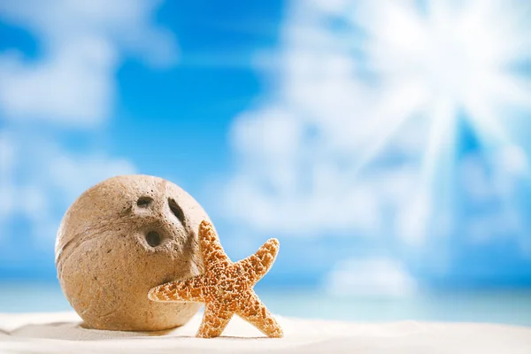 Coco y concha de estrella de mar con sol, océano, playa y paisaje marino —  Fotos de Stock