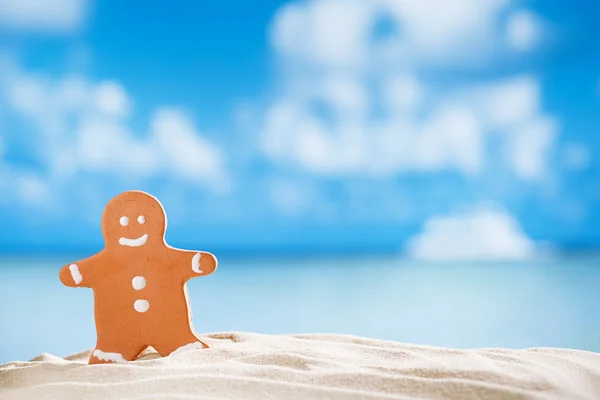 Gingerbread man on beach with seascape background — Stock Photo, Image