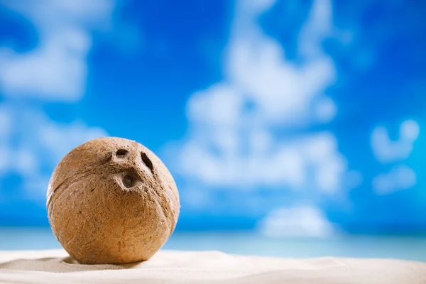 Coconut with ocean , beach and seascape — Stock Photo, Image