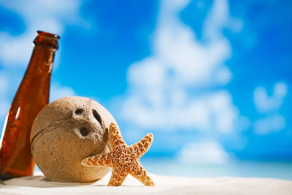 Coconut and starfish shell with sun, ocean , beach and seascape — Stock Photo, Image