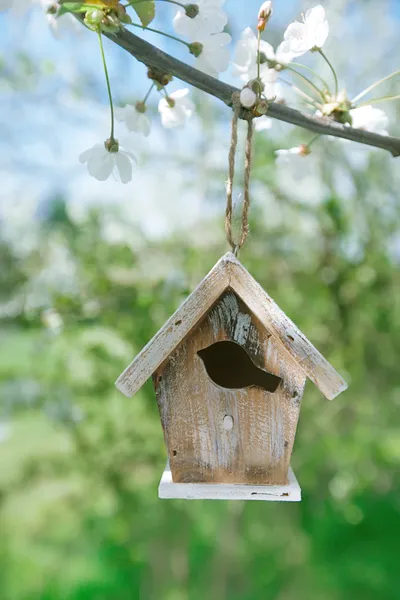Little Birdhouse in Spring with blossom cherry flower sakura — Stock Photo, Image