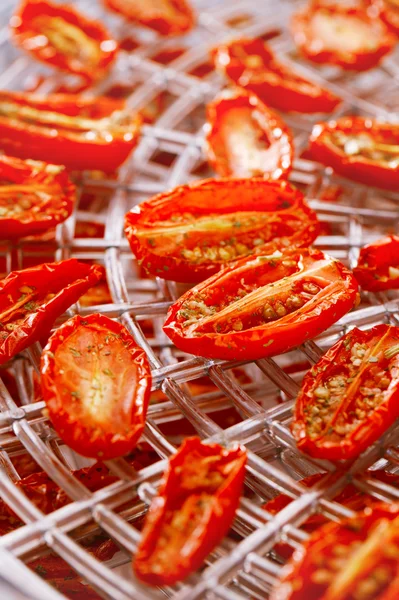 Sundried cherry tomatoes on food dehydrator tray, shallow dog — Stock Photo, Image