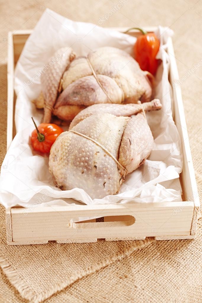 two pheasants bird, plucked and stuffed in wooden box
