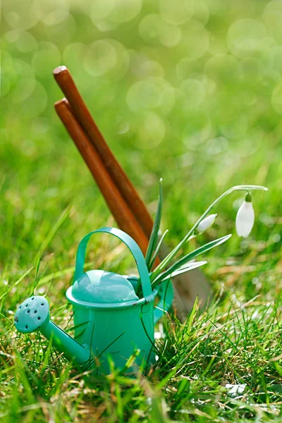 Gardening tools and snowdrops — Stock Photo, Image