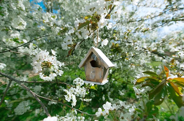 Kleines Vogelhaus mit Kirschblüten-Sakura — Stockfoto