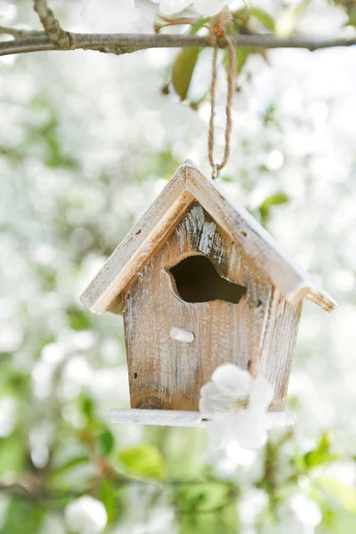 Little Birdhouse na primavera — Fotografia de Stock