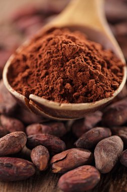 kaşık toz kakao