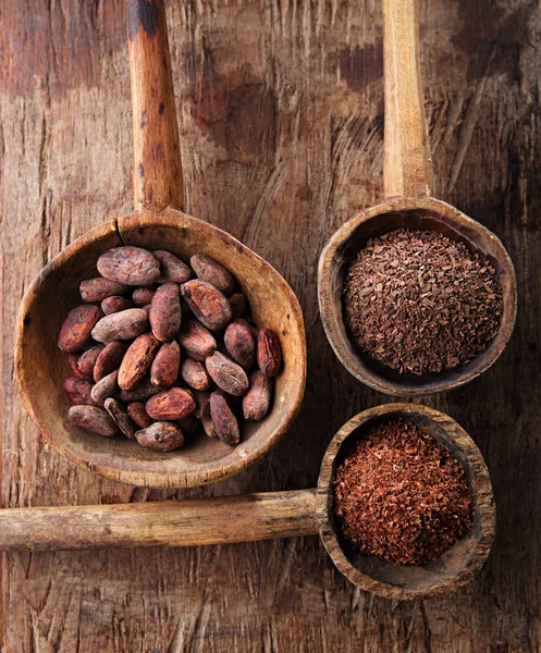 Cocoa beans and grated dark chocolate — Stock Photo, Image