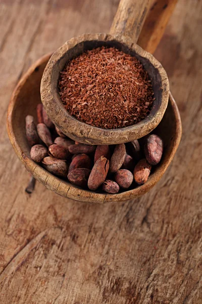 Haricots de cacao et chocolat noir râpé — Photo