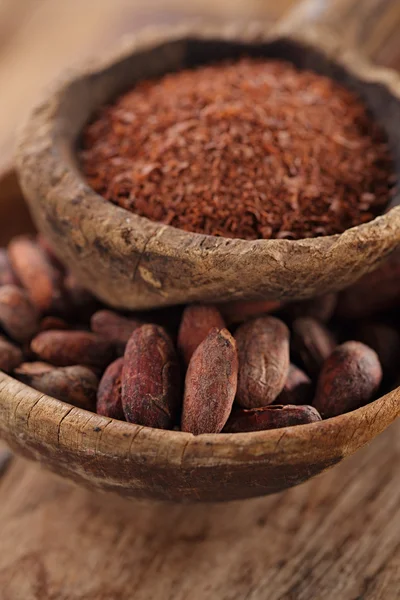 Cocoa beans — Stock Photo, Image