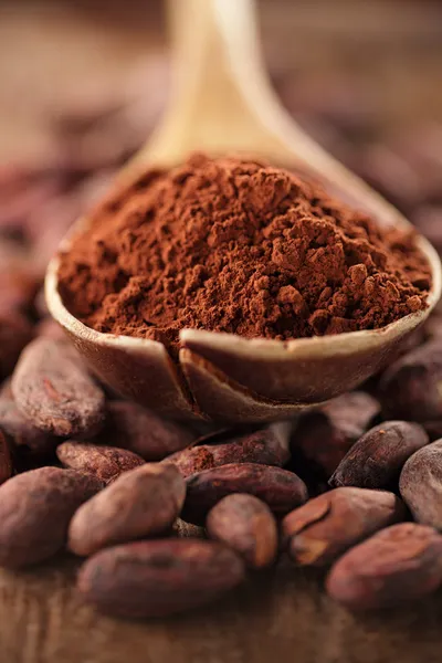 Cocoa powder in spoon — Stock Photo, Image