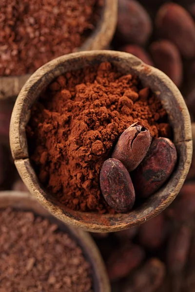 Cacao en polvo — Foto de Stock