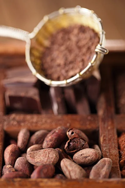 Roasted cocoa chocolate beans in old wooden spicy box — Stock Photo, Image