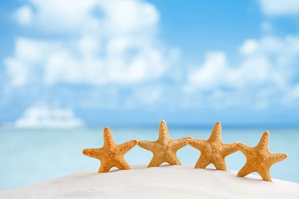 Diepwater zeldzame starfish — Stockfoto