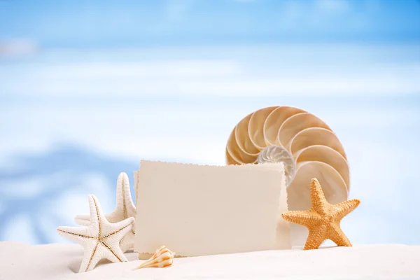 Conchas e estrelas do mar com foto retro em branco — Fotografia de Stock
