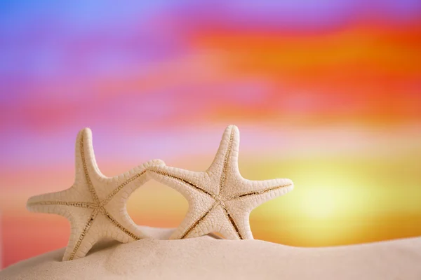 Witte starfish met zonsopgang sky — Stockfoto